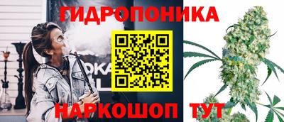 гашик Ставрополь