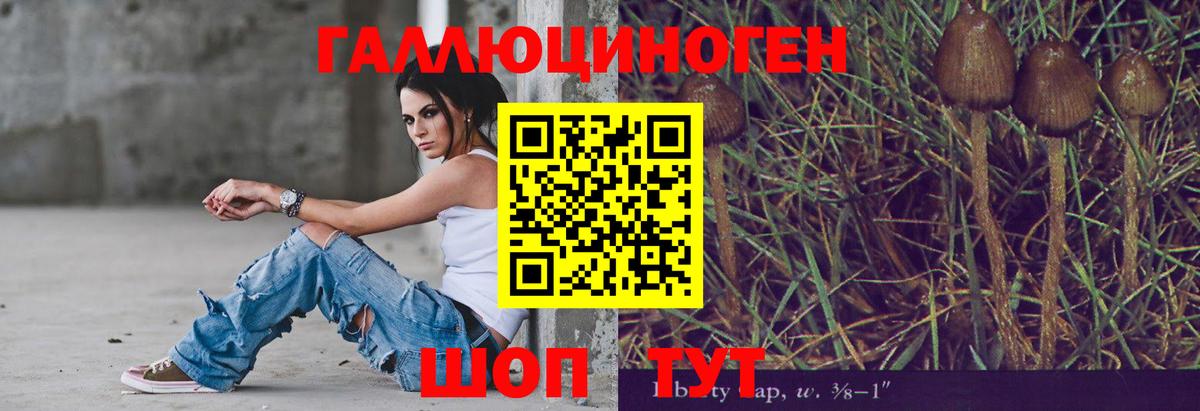 Феодосия  Псилоцибиновые грибы Psilocybine cubensis  Вход с VPN 